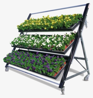 Tiered Plant Retail Display Unit - Png Transparent Plant Display #4973933