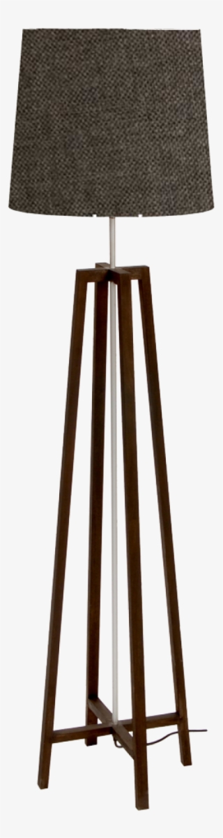 Electric Light #4975045