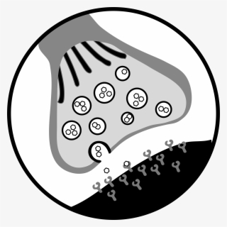 This Free Icons Png Design Of Chemical Synapse #4975389