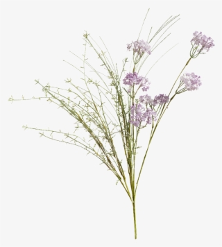 Shady Meadow Flower Lilac - Meadow Flowers Png Transparent #4977431