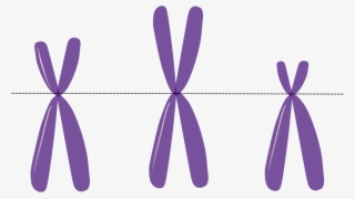 Clip Free Download Genetics Heredity Dna Free - Rett Syndrome Clip Art #4977561