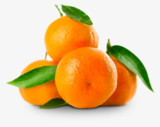 Mandarina Png - Flavored Orange Juice Concentrate #4979039