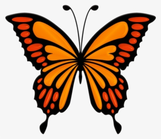 Free Png Orange Butterfly Png Images Transparent - Colorful Butterfly #4979874