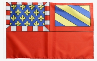 Drapeau France Dijon - Dijon #4982132