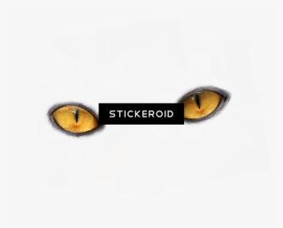 Eye Eyes - Black Cat #4983846