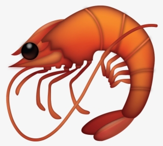 Shrimp Emoji #4984476