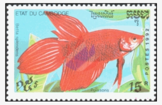 Ornamental Fish Ornamental Fish Ornamental Fish - Postage Stamp #4984547