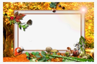 Cadre Nature Png - Seasons By Gloria Edwards #4985168