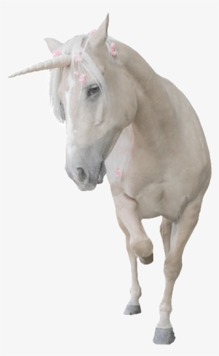 Unicorn Png Transparent That Is Running - White Dragon Horse #4988116 Unicorn Png Transparent That Is Running - White Dragon Horse #4988116