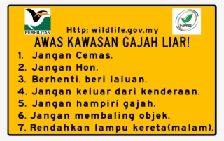Gajah Liar Melintas - Department Of Wildlife And National Parks #4988859