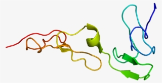 Protein Pros1 Pdb 1z6c - Proteina S #4988971