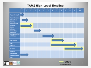 Project Management High Level Timeline Main Image Download - Project Management High Level Timeline #4991109