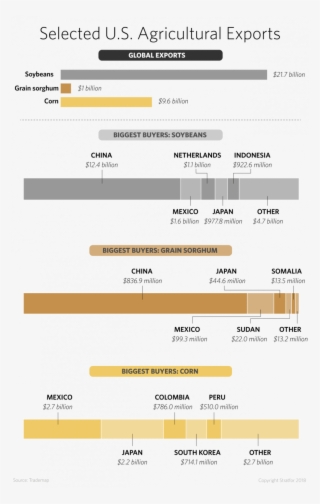 Agricultural Exports - Agriculture #4991513