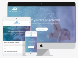 Homeolux Website Presentation #4991567