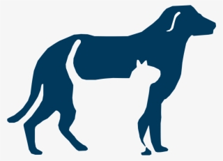 Veterinary Technician Program Icon - Humane Society Of San Bernardino #4992861