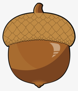 Acorn Clipart Food - Clip Art Acorn Png #4993735