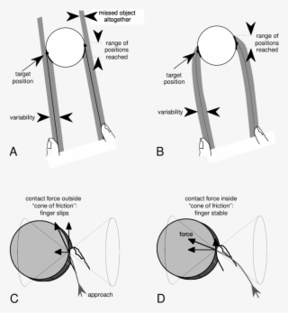 Schematic Representation Of The Trajectories Of Thumb - Spatial Variability #4995538