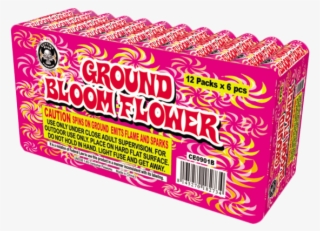 Ground Bloom Flowers - Firecrackers Ground Bloom Flower #4996266