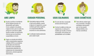 Estímulos A La Innovación Del Consejo Nacional De Ciencia - Cartoon #4998280