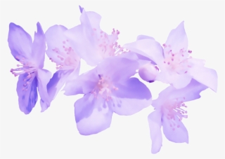 The Images - Flores Moradas En Png Transparente #4999452