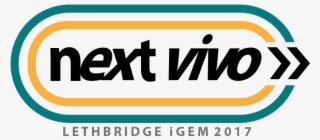 Fifteen Parts Were Improved From Our 2017 Next Vivo #4999858