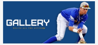 Photo Gallery - Photograph #4999923