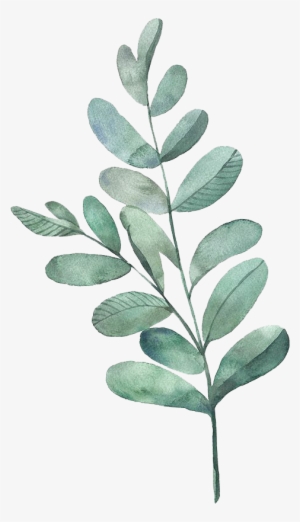 Tealdividerpngg - Watercolour Green Leaves Png #50032