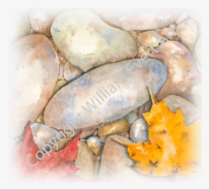 Content On This Page Requires A Newer Version Of Adobe - Watercolor Paint #50088