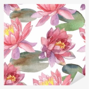 Fiore Di Loto Acquerello #50477