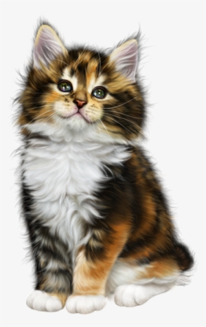 Мобильный Liveinternet Без Заголовка - Domestic Long-haired Cat #50738