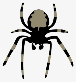 28 Collection Of Animated Spider Clipart - Spider Clipart #50846
