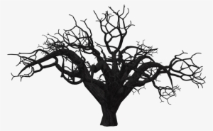 Transparent Tree - Scary Tree Png #50897