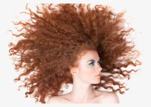 Hair Curls Png Background Image - Hair #50991