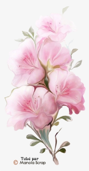 Tubes Fleurs Page - 2010 #51020