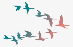 Flying Birds Png Png Library Download - Colorful Flying Birds Png #51408