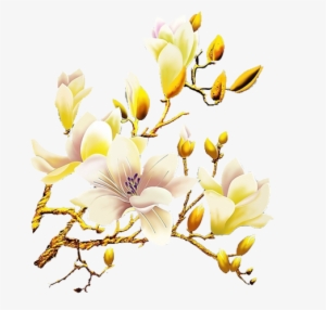 Gardenia Vector Watercolor - White Orchid Flower Png #51593