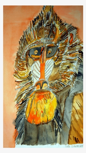 Watercolor Animal - Watercolor Painting #51614