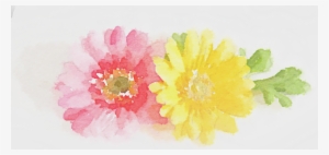 Diy Watercolor Place Cards - Watercolor Painting #51615
