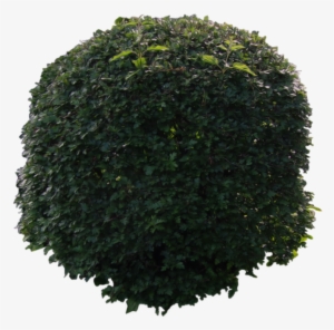 164 Images About 🌋png🌋 On We Heart It - Lace Wig #51686