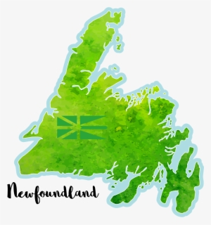 Check Out My New Newfoundland Watercolor Design For - Illustration #52030
