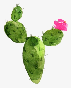 Cactus Watercolor Png - Western Flowers - White By Shopcabin - White #52031