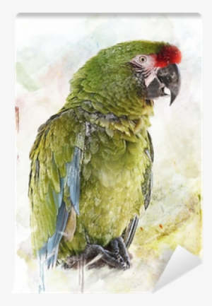 Set Of 2 Green Parrot Watercolor Ceramic Cabinet Drawer #52055