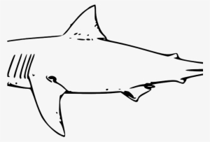 Shark Clipart Watercolor - Great White Shark Clip Art #52056