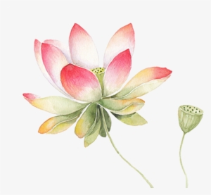 Ftestickers Watercolor Flower Lotus Pink - Sacred Lotus #52076