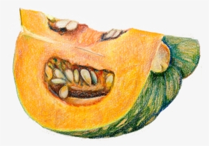 Pumpkindrawing - Pumpkin #52344