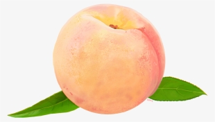 Transparent Watercolor - Peach Png #52751