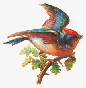 Free Digital Bird Graphic - Pretty Bird Png #52875