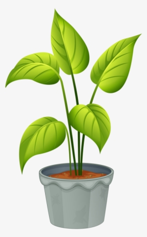 Green Home Plant - Plant Clipart #53386