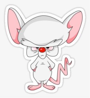 Bumper Stickers, Laptop Stickers, Cool Stickers, Pictures - Pinky And The Brain Brain #53558