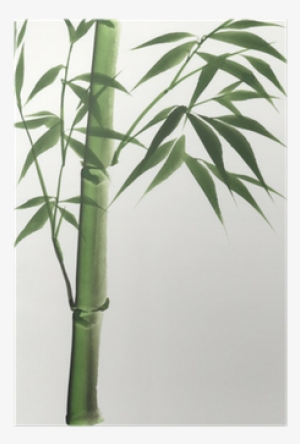 Bamboo Japanesed Art #53561